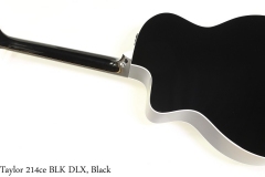 Taylor 214ce BLK DLX, Black Full Rear View