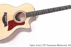 Taylor 314ce LTD Tasmanian Blackwood, 2017 Full Front View