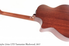 Taylor 314ce LTD Tasmanian Blackwood, 2017 Full Rear View