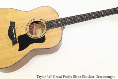 Taylor 317 Grand Pacific Slope Shoulder Dreadnought Full Front View