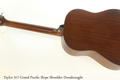 Taylor 317 Grand Pacific Slope Shoulder Dreadnought Full Rear View