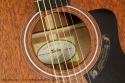 Taylor 320e Baritone SLTD guitar label