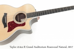 Taylor 414ce-R Grand Auditorium Rosewood Natural, 2017 Full Front View