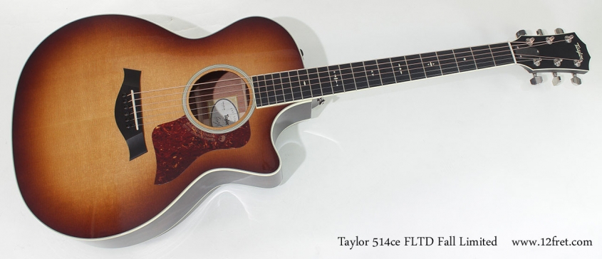 Taylor 514ce FLTD Fall Limited full front view