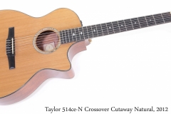 Taylor 514ce-N Crossover Cutaway Natural, 2012 Full Front View