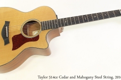 Taylor 514ce Cedar and Mahogany Steel String, 2016 Full Front View