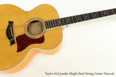 Taylor 615 Jumbo Maple Steel String Guitar Natural, 1995  Full Front View