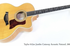 Taylor 615ce Jumbo Cutaway Acoustic Natural, 2000 Full Front View