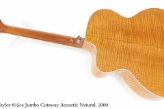 Taylor 615ce Jumbo Cutaway Acoustic Natural, 2000 Full Rear View