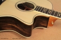 Taylor 616ce LTD cutaway