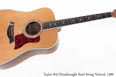 Taylor 810 Dreadnought Steel String Natural, 1996 Full Front View