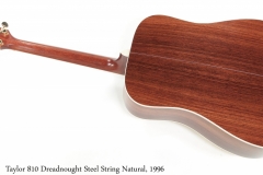 Taylor 810 Dreadnought Steel String Natural, 1996 Full Rear View