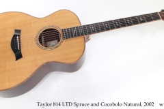 Taylor 814 LTD Spruce and Cocobolo Natural, 2002 Full Front View