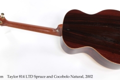 Taylor 814 LTD Spruce and Cocobolo Natural, 2002 Full Rear View