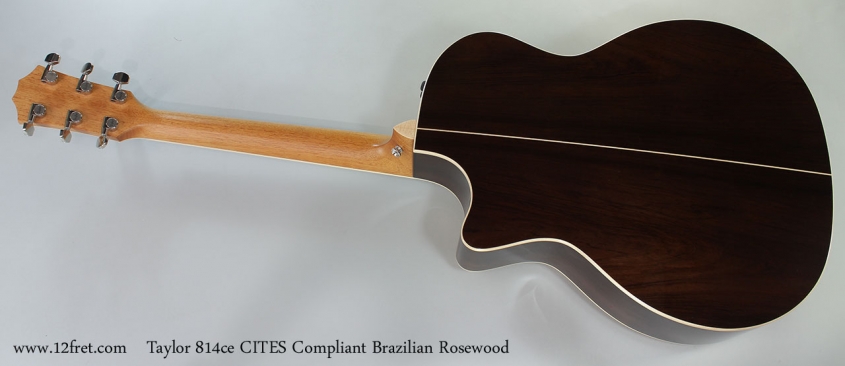 taylor-814ce-braz-cites-full-rear