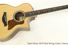 Taylor 814ce DLX Steel String Guitar, Natural Full Front View