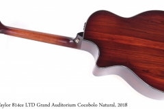 Taylor 814ce LTD Grand Auditorium Cocobolo Natural, 2018 Full Rear View