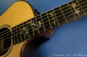 taylor-914ce-ss-inlay-1