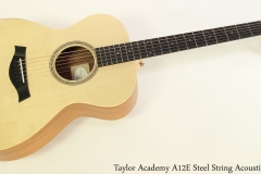 Taylor Academy A12E Steel String Acoustic Full Front View