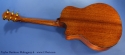 taylor-baritone-6-mahogany-ss-full-rear-1