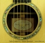 taylor custom ga amazon rosewood rosette and label