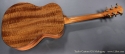 Taylor Custom GA Mahogany full rear view