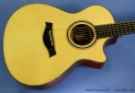 taylor-custom-gc-ss-top-1