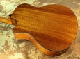 Taylor-custom-gs-back-2