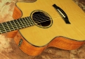 Taylor-custom-gs-cutaway-front-1