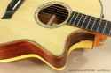 Taylor GS Custom Fall LTD 2008 cutaway