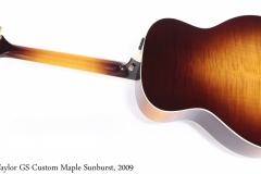 Taylor GS Custom Maple Sunburst, 2009 Full Rear View