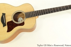 Taylor GS Mini e Rosewood, Natural Full Front View