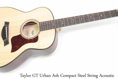 Taylor GT Urban Ash Compact Steel String Acoustic Full Front View