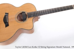 Taylor LKSM Leo Kotke 12 String Signature Model Natural,  1993 Full Front View