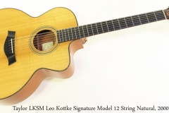 Taylor LKSM Leo Kottke Signature Model 12 String Natural, 2000 Full Front View