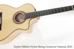 Taylor NS62ce Nylon String Crossover Natural, 2010 Full Front View