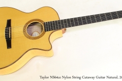 Taylor NS64ce Nylon String Cutaway Guitar Natural, 2008   Full Front View