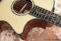 taylor-ps14ce-cutaway-1