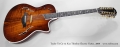 Taylor T5 C2-12 Koa Thinline Electric Guitar, 2009 Full Front View