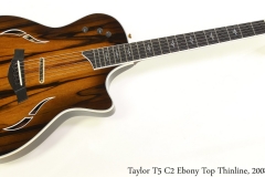 Taylor T5 C2 Ebony Top Thinline, 2008 Full Front View