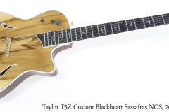 Taylor T5Z Custom Blackheart Sassafras NOS, 2017 Full Front View