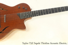 Taylor T5Z Sapele Thinline Acoustic Electric, 2016 Full Front View