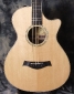 Taylor 12 Fret Steel String Acoustic Guitar Top View