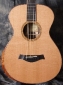 Taylor_12Fret-BTO_Zircote_Top