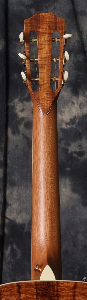 Taylor_35th_12_Fret_Koa_Neck