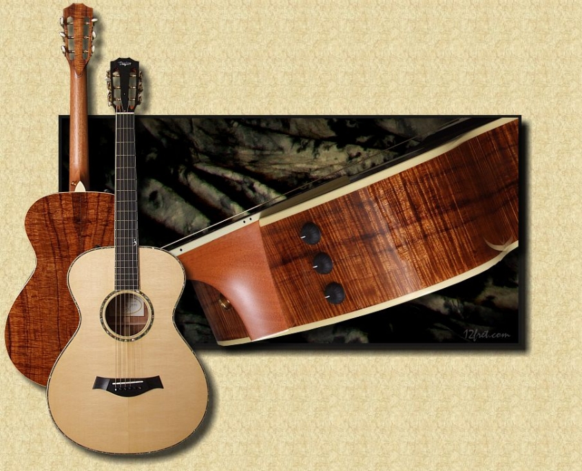 Taylor_35th_12_Fret_Koa