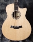 Taylor 8 String Baritone Guitar Top