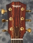 Taylor_BTO Sinker GA_headstock