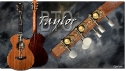 Taylor_BTO_12fret_Sinker