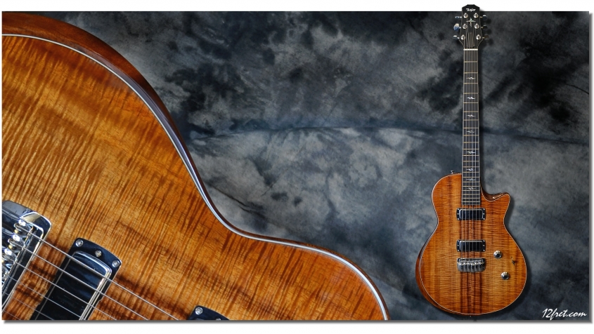 Taylor_Custom_Solid-Body_Koa